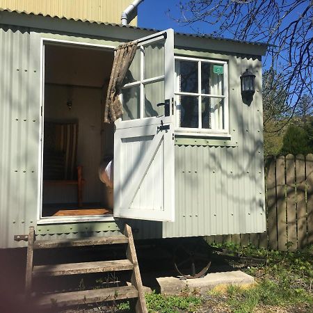 Posh Huts Farmstay Falstone Kültér fotó