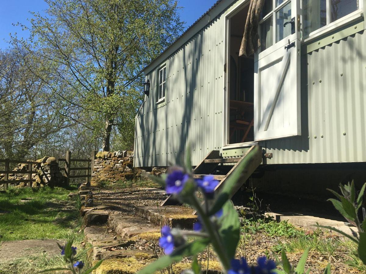Posh Huts Farmstay Falstone Kültér fotó