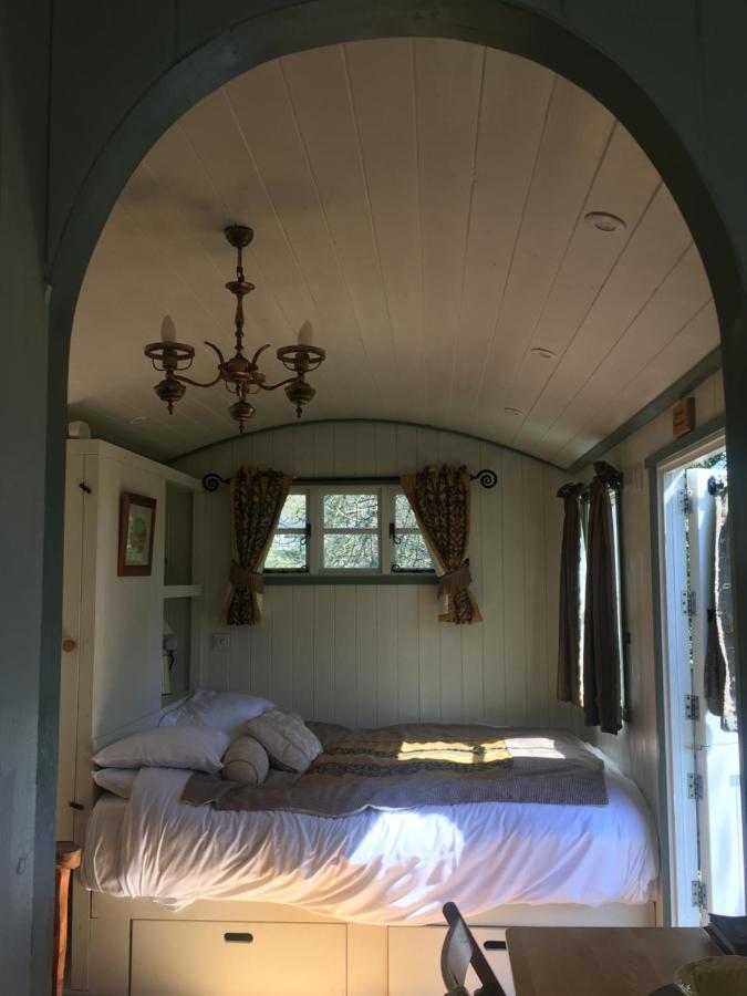 Posh Huts Farmstay Falstone Kültér fotó