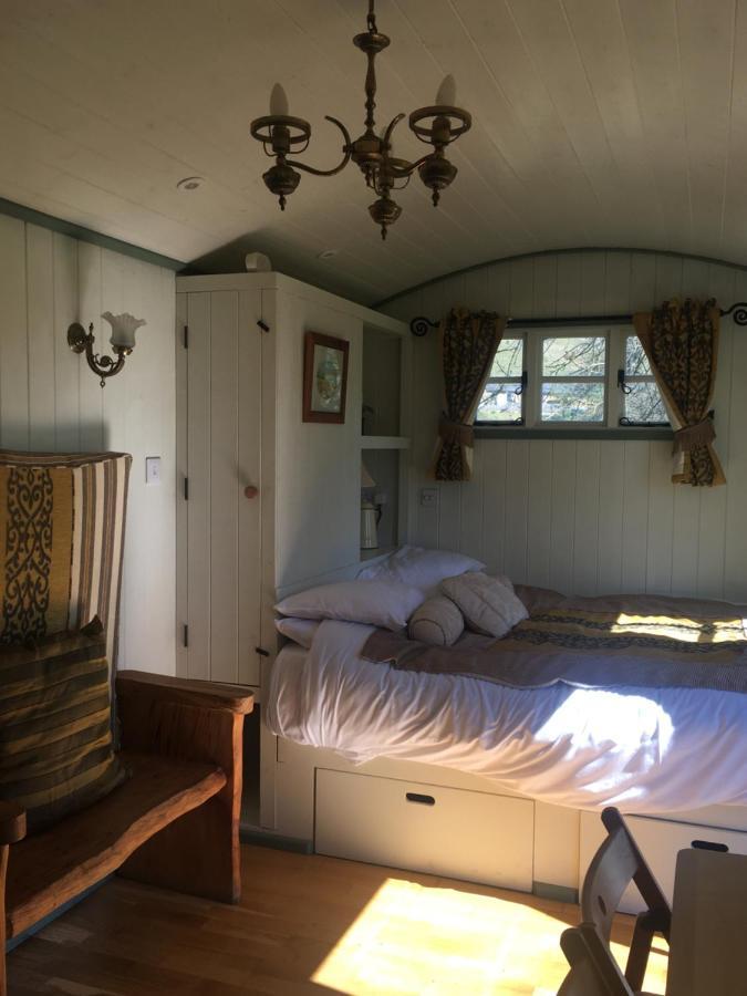 Posh Huts Farmstay Falstone Kültér fotó