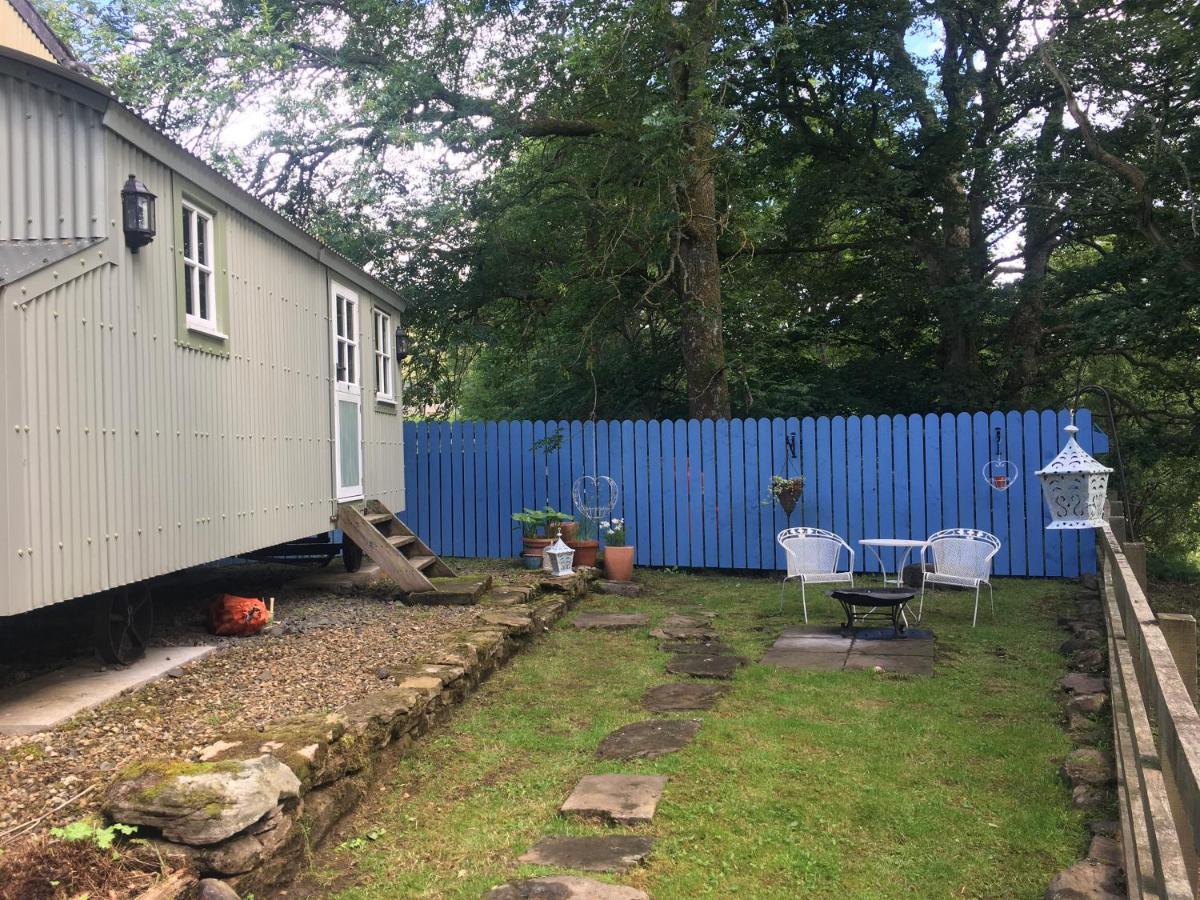 Posh Huts Farmstay Falstone Kültér fotó