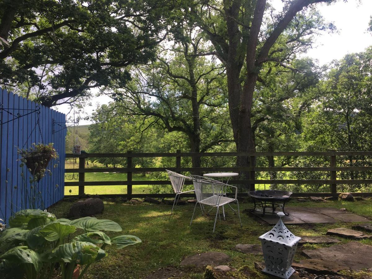 Posh Huts Farmstay Falstone Kültér fotó
