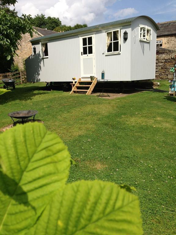 Posh Huts Farmstay Falstone Szoba fotó